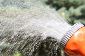 watering hose in the garden