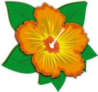clip art of an orange spring flower