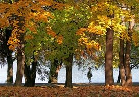 beautiful park at Autumn, romania, bucharest