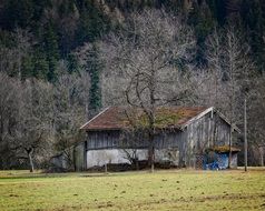 field shed in a meadow among trees