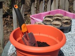 shovel in a flower pot