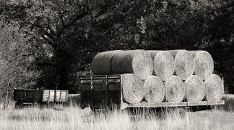 black and white photo of hay bales on a wagon