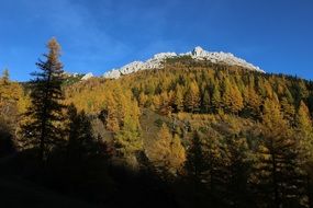 golden autumn in the mountains