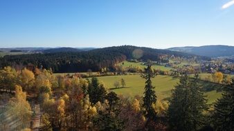 Autumnal leaf trees