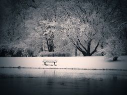 bench near the pond in the snowy landscape