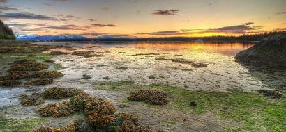 low tide at Bartlett Bay