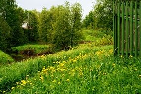 picturesque summer landscape near a quiet river