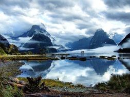 fjords in new zealand