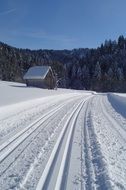Trail on a snow