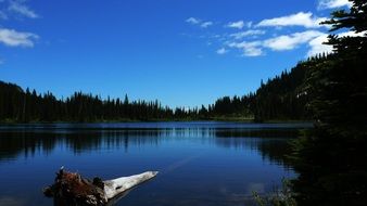 Calm and clear lake in wilderness