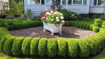 bathtub with flowers, Decoration in Front Yard
