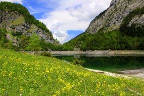 Meadow Of The Dachstein Mountain