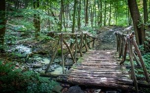 wooden bridge over a forest creek in Slovakia