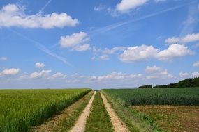 Lane Agriculture Field