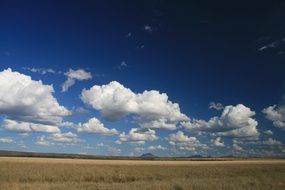 panorama of the plain in Tanzania