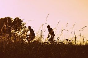 man and woman cycling through grass at dusk, silhouettes