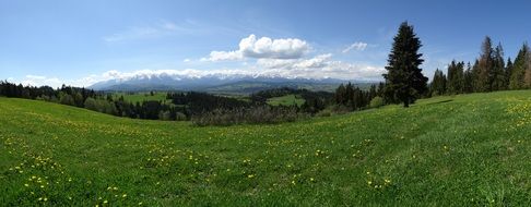 Tatras in summer