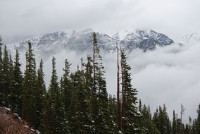 picturesque Mountain Fog