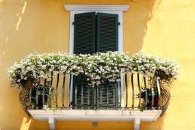 incomparable Flower Boxes