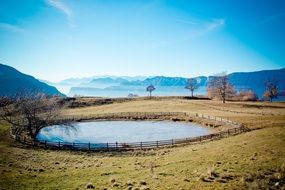 Beautiful Landscape With The Pond On Alpine Meadow