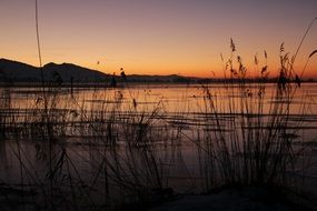 grass near the lake at sunset