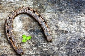Horseshoe Shamrock