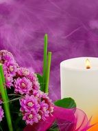 compositions of pink flowers near a white candle