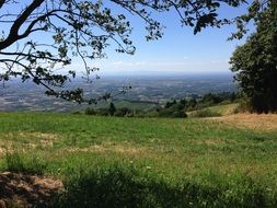 landscape view of the black forest and meadow