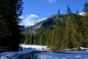 Wonderful Tatry KoÅcieliska Valley Landscape