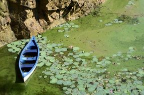 Blue Boat on a pond