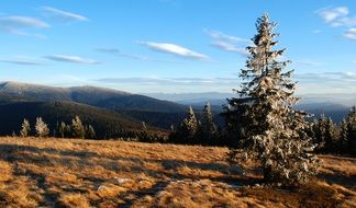Beautiful mountain landscape with trees in Rysianka, Poland