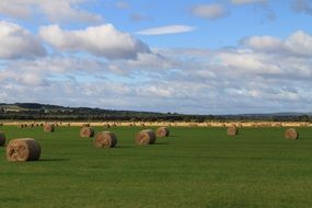 Hay Field Agriculture