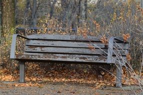 Rustic empty Bench