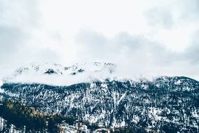 snow and fog at the peak of the mountain