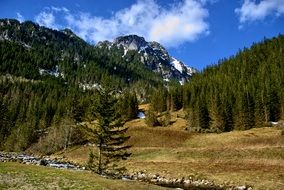 Koscieliska Valley in the green Tatras