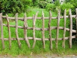 green garden behind weathered Wooden Fence