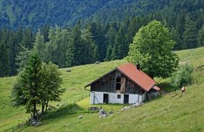 Hut in green Forest Landscape Nature Bavaria