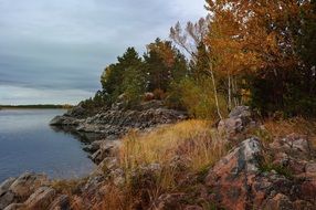 natural river beach in forest