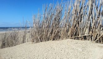 Dunes Beach
