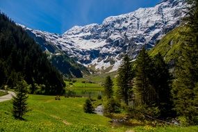 distant view of a mountain lake among a green meadow