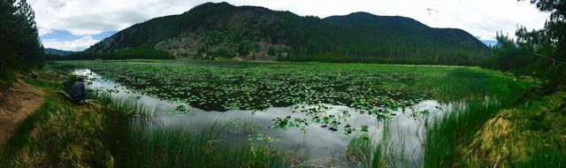 lake near mountain in yellowstone national park