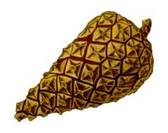 painted pine cone as an illustration