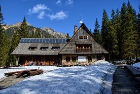 hotel building near a pine forest on the mountain