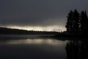Air Trees, Sweden