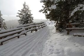 wooden fence near the trail in the snow