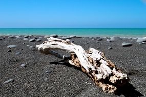 Stick on a beach