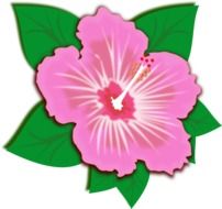 clip art of pink spring flower