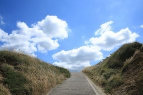 incomparable Landscape Sky