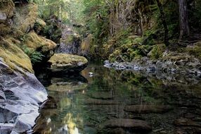 Opal Creek in Willamette National Forest