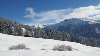 Winter Snow hills Forest Mountain Landscape